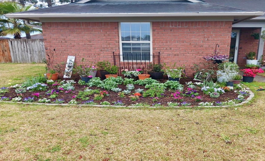 Landscaped Backyard