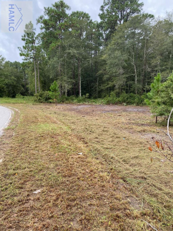 0 Peachtree Drive, Jesup, Wayne, Georgia, United States 31545, ,Apartment,For Sale,Peachtree Drive,156016